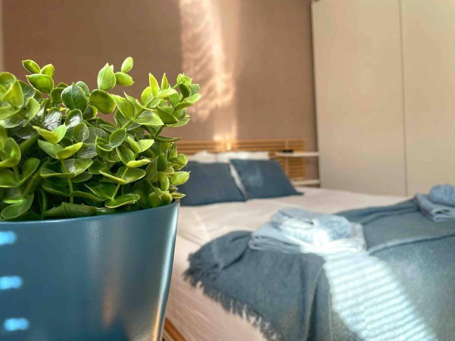 Cozy & Boho Top Center Apartment صوفيا المظهر الخارجي الصورة